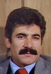 Hikmet Taşdemir