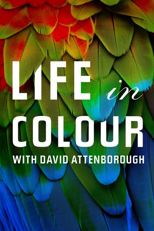 Attenborough’s Life in Colour : 1.Sezon 2.Bölüm