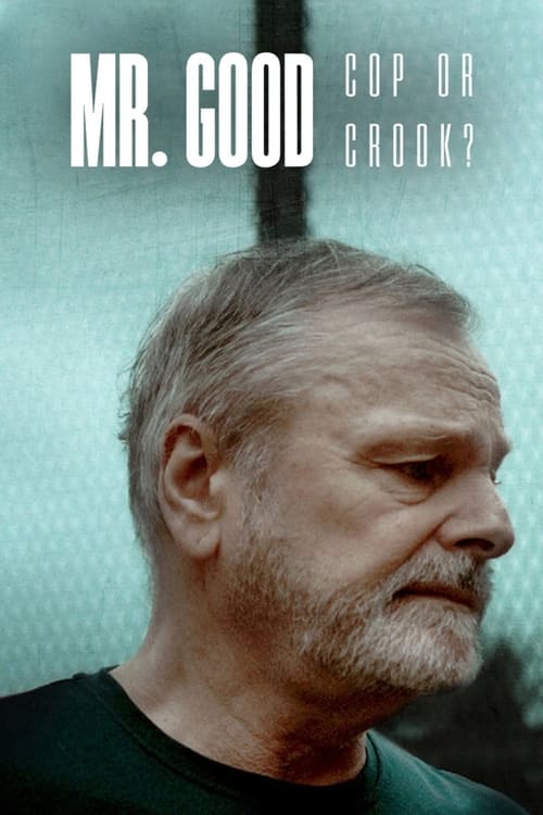 Mr. Good Cop or Crook? : 1.Sezon 3.Bölüm