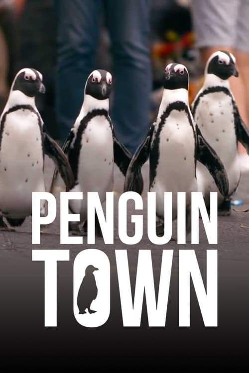 Penguin Town : 1.Sezon 5.Bölüm