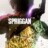 Spriggan : 1.Sezon 1.Bölüm izle