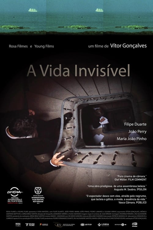 A Vida Invisível (2013)