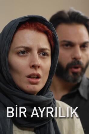 Bir Ayrılık (2011)