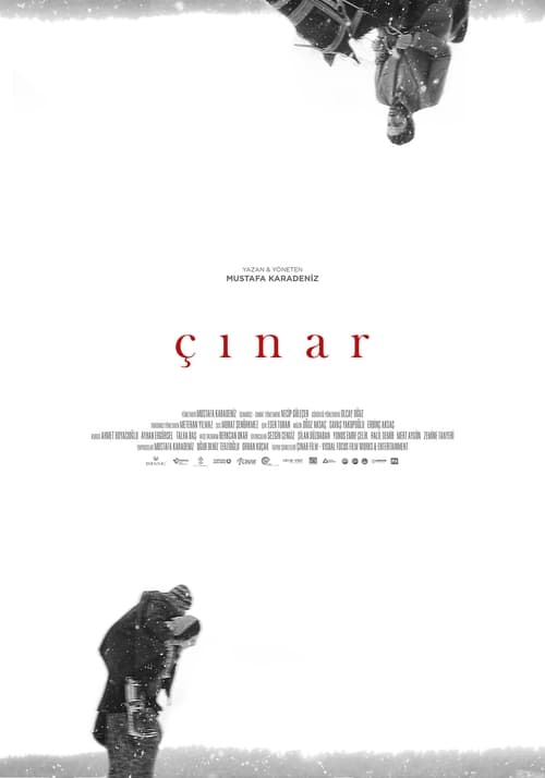 Çınar (2018)