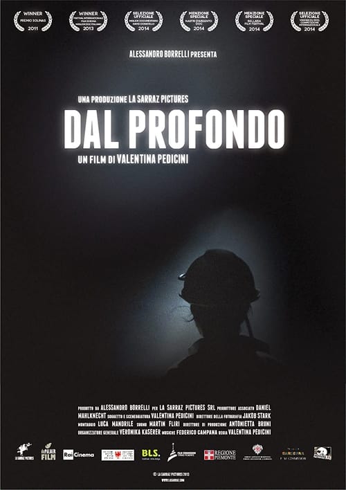 Dal profondo (2013)