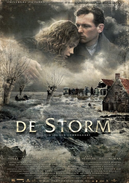 De storm (2009)