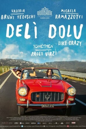 Deli Dolu (2016)