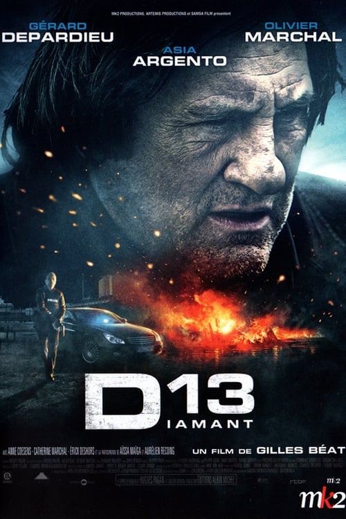 Diamant 13 (2009)