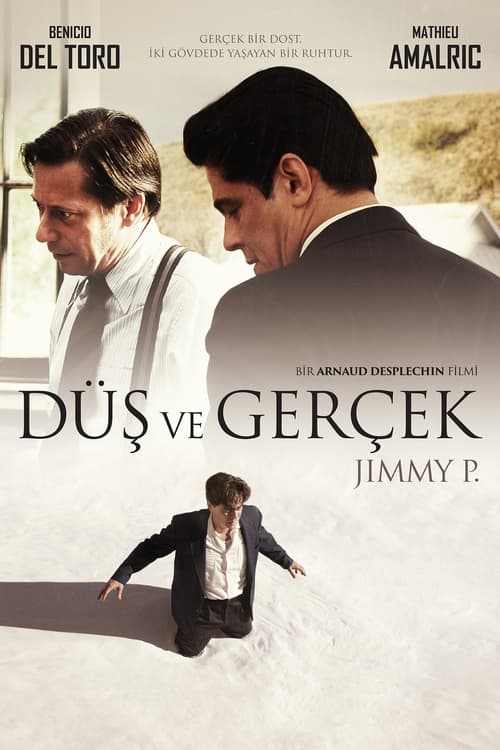 Düş ve Gerçek (2013)