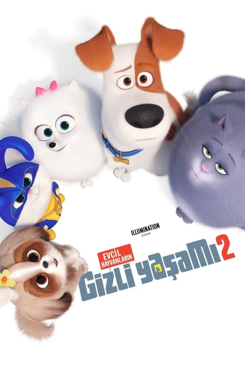 Evcil Hayvanların Gizli Yaşamı 2 (2019)