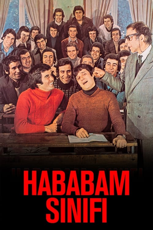 Hababam Sınıfı (1975)