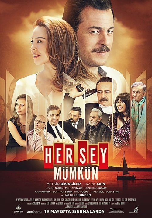 Her Şey Mümkün (2017)