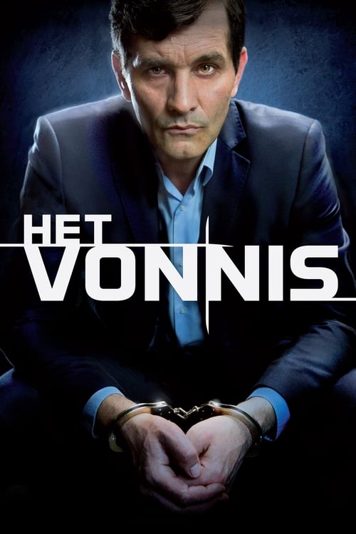 Het Vonnis (2013)