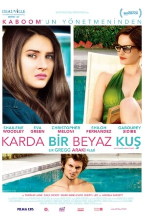 Karda Bir Beyaz Kuş (2014)