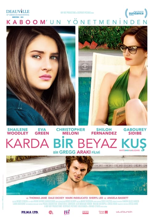 Karda Bir Beyaz Kuş (2014)