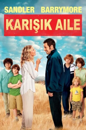 Karışık Aile (2014)