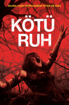 Kötü Ruh (2013)