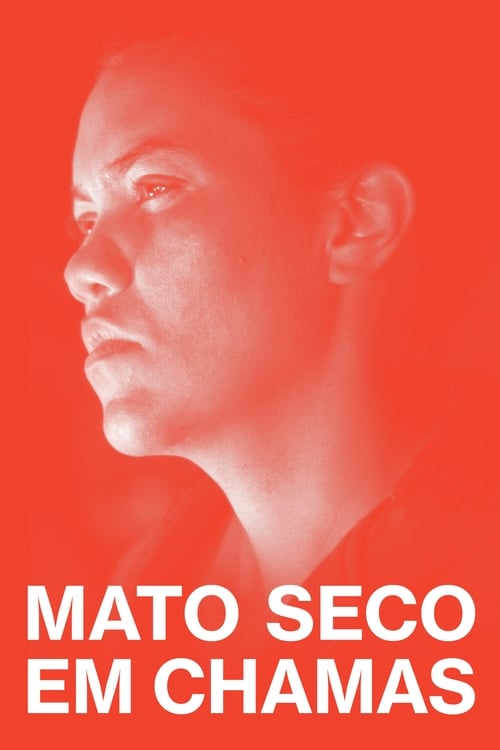 Mato Seco em Chamas (2023)