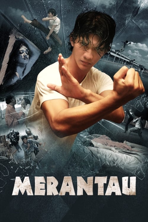 Merantau Savaşçısı (2009)