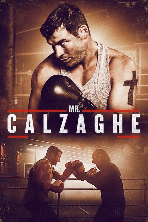 Mr. Calzaghe (2015)