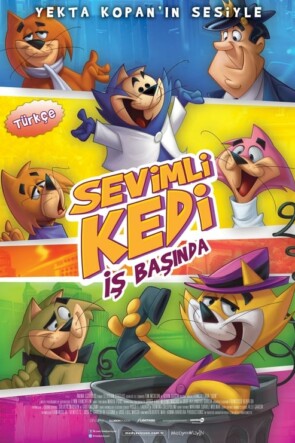 Sevimli Kedi İş Başında (2011)