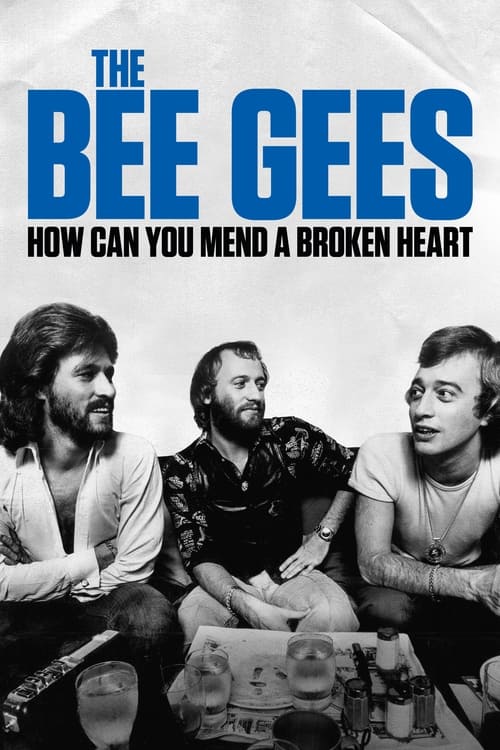 The Bee Gees: How Can You Mend a Broken Heart (2020)