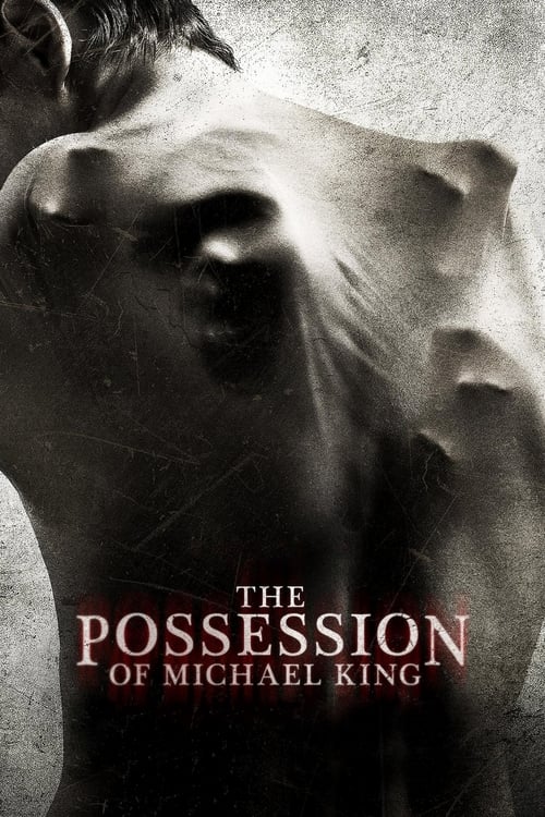 The Possession of Michael King (2014)