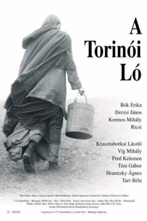 Torino Atı (2011)