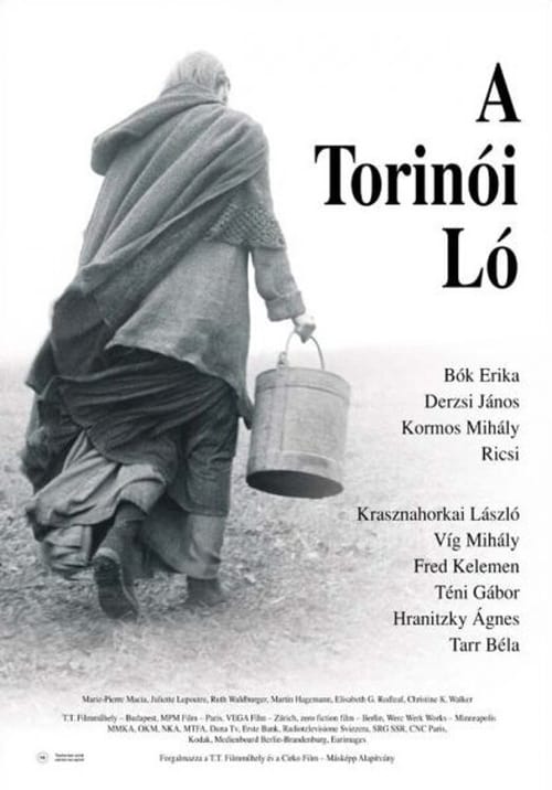 Torino Atı (2011)