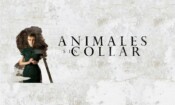 Animales sin collar (2018)