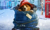 Ayı Paddington (2014)