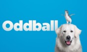 Oddball (2015)