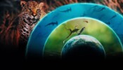 Our Living World izle