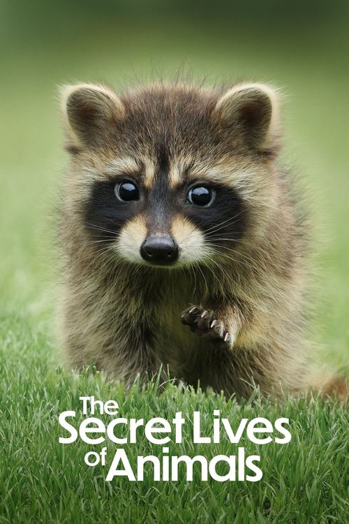 The Secret Lives of Animals : 1.Sezon 7.Bölüm