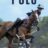 Polo : 1.Sezon 2.Bölüm izle