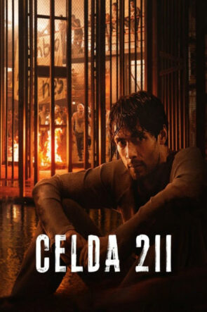 Celda 211